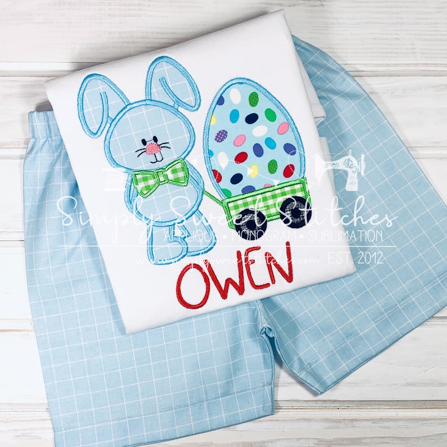 1013 - BOY EASTER BUNNY WITH EGG IN WAGON - APPLIQUE CHILD SHIRT