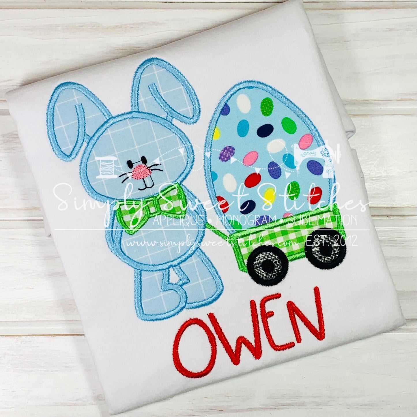 1013 - BOY EASTER BUNNY WITH EGG IN WAGON - APPLIQUE CHILD SHIRT